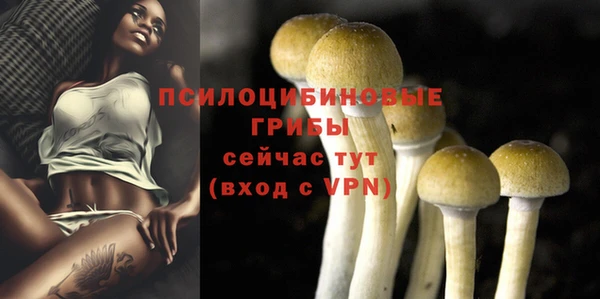 соль курить ск Алексин