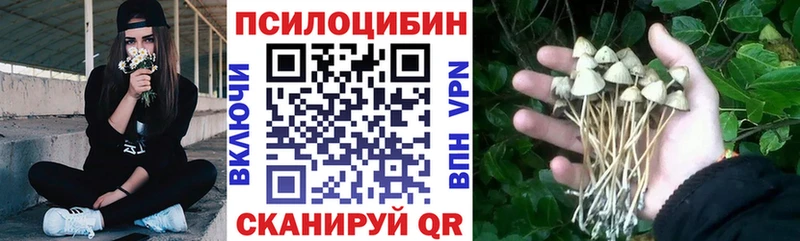 Псилоцибиновые грибы Psilocybine cubensis Апшеронск