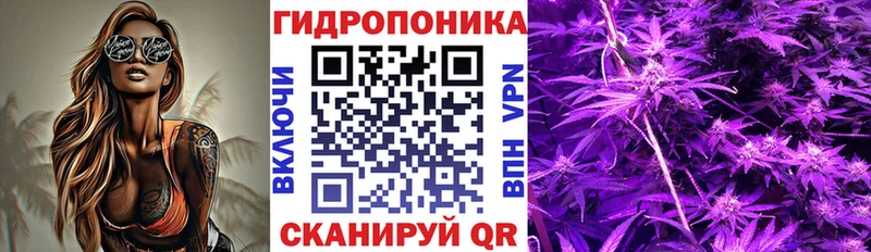 Бошки марихуана сатива  мега рабочий сайт  Апшеронск 